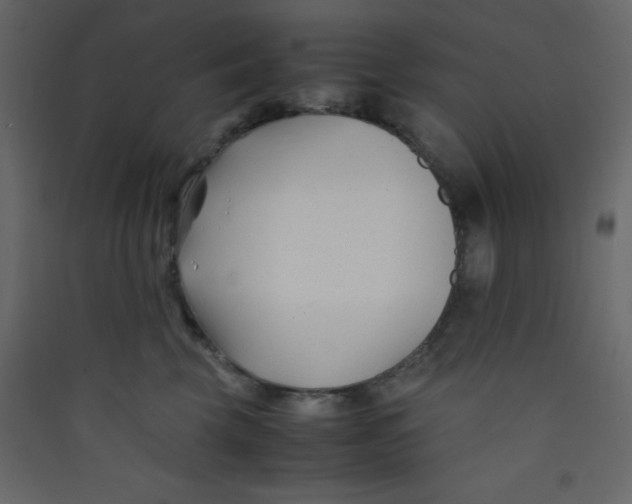 X0000089430569200707131847