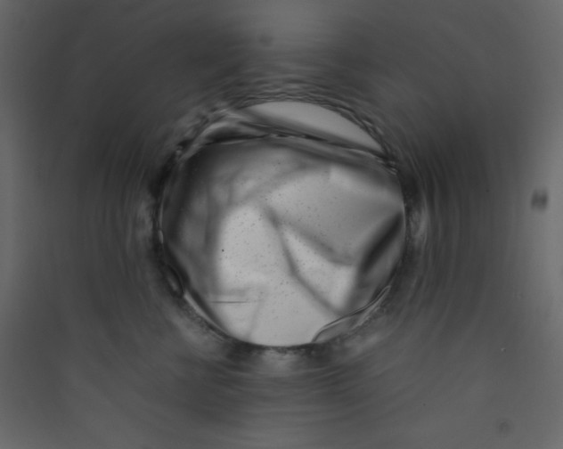X0000089430570200707131847