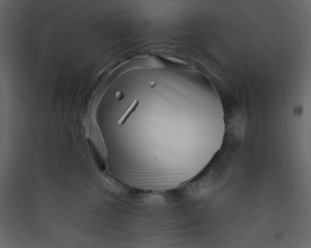 X0000089430572200707131847