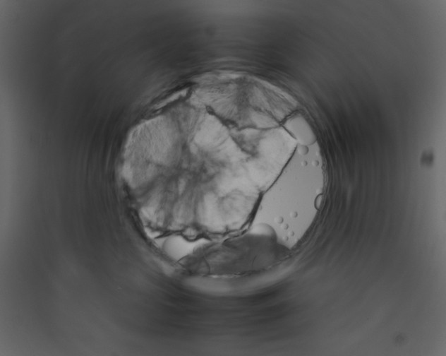 X0000089430573200707131847