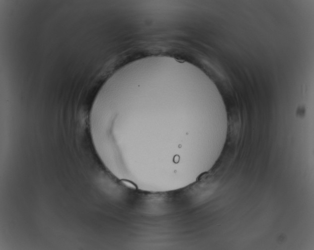 X0000089430574200707131847