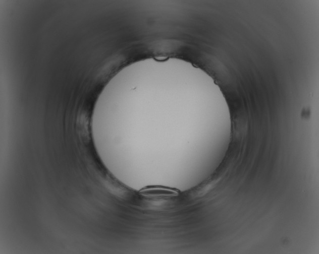 X0000089430575200707131847