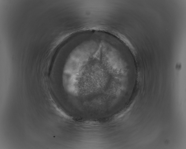 X0000089430577200707131846
