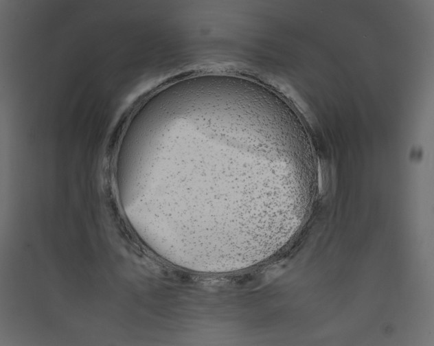 X0000089430579200707131846