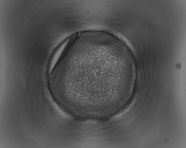 X0000089430581200707131846