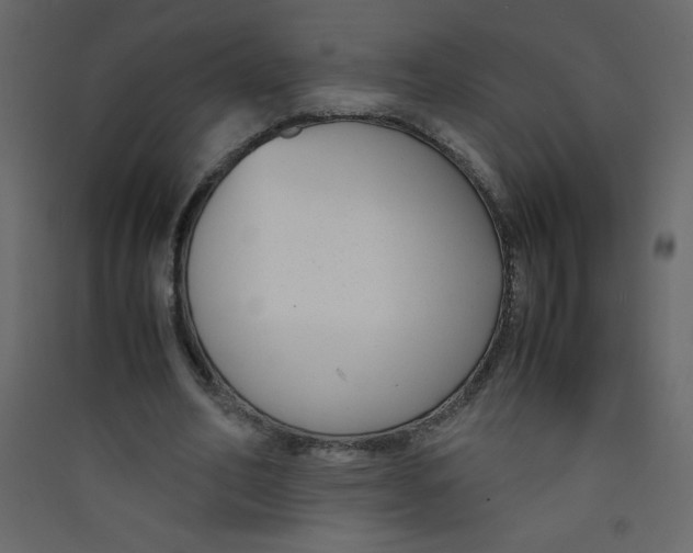 X0000089430582200707131846