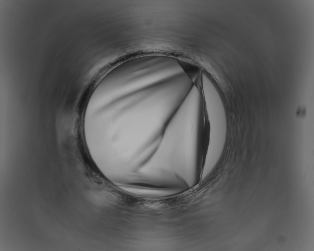 X0000089430583200707131846