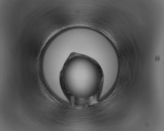 X0000089430584200707131846