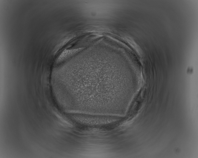 X0000089430585200707131846
