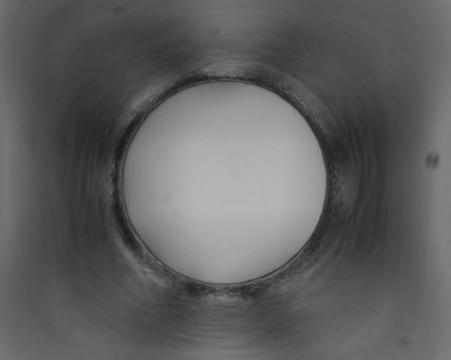 X0000089430586200707131846