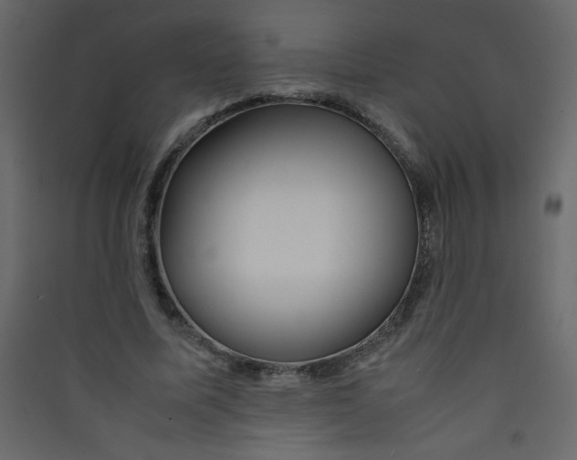 X0000089430587200707131846