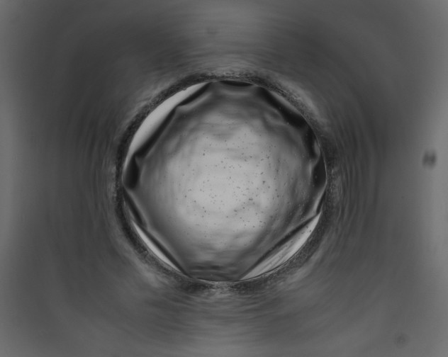 X0000089430589200707131846