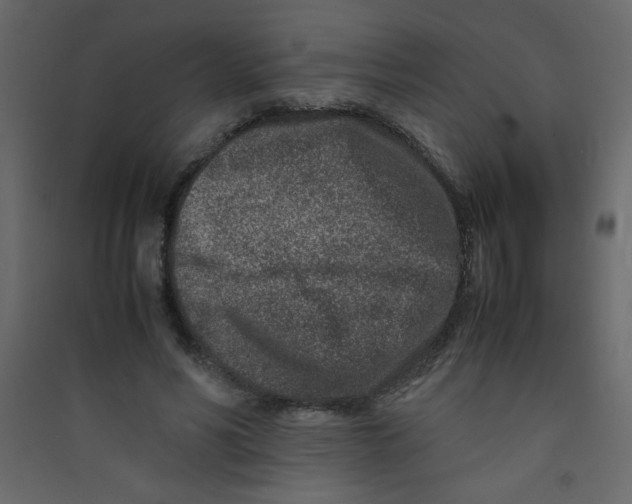X0000089430590200707131846