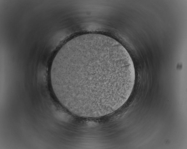 X0000089430592200707131846