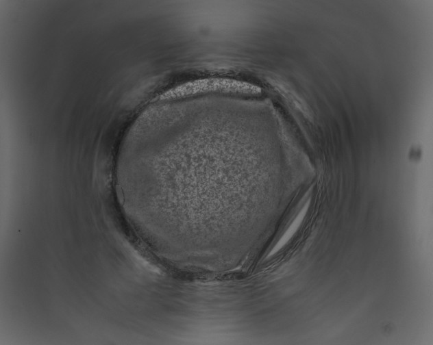 X0000089430593200707131846