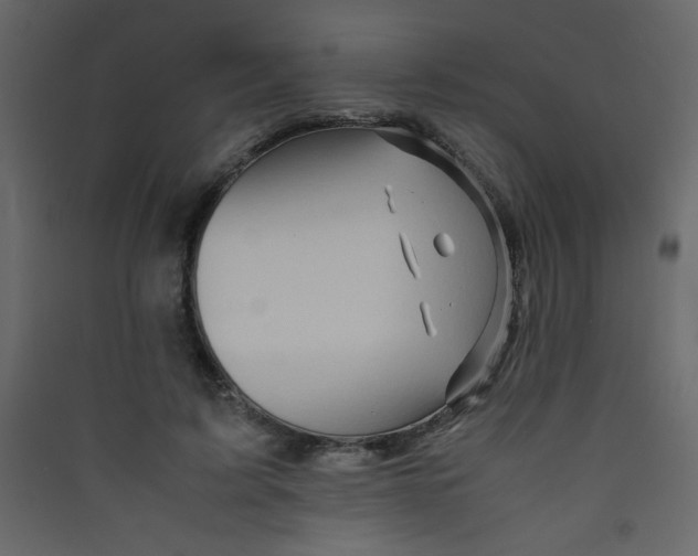 X0000089430595200707131846