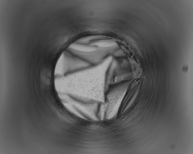 X0000089430596200707131846