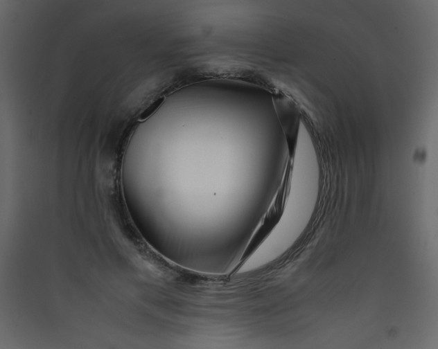 X0000089430597200707131846