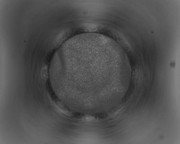 X0000089430598200707131846