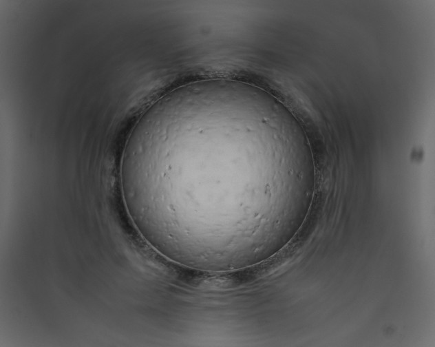 X0000089430599200707131846