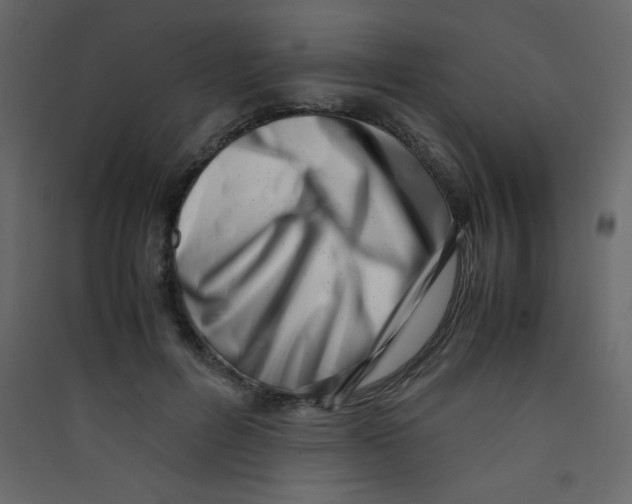 X0000089430600200707131846