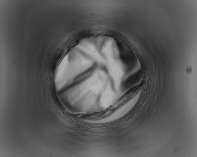 X0000089430601200707131846