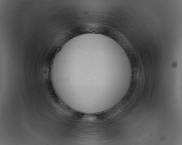 X0000089430602200707131846