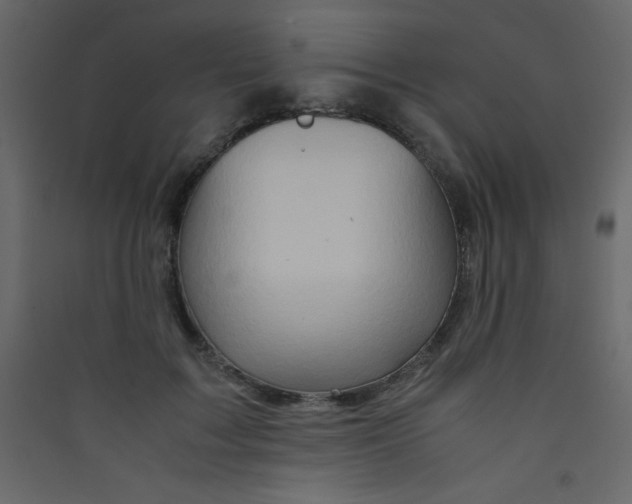 X0000089430603200707131846