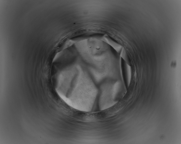 X0000089430604200707131846