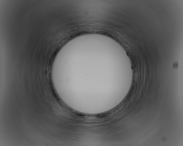 X0000089430605200707131846