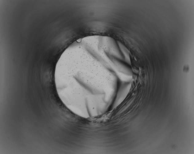X0000089430608200707131846