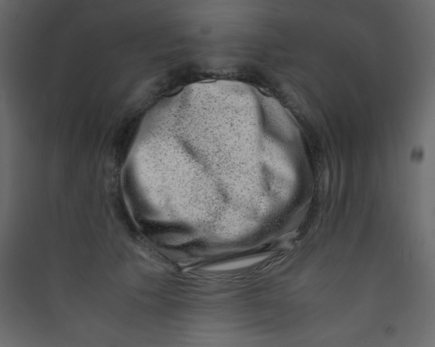 X0000089430609200707131846