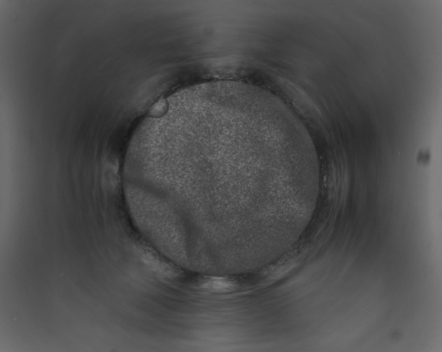 X0000089430610200707131846