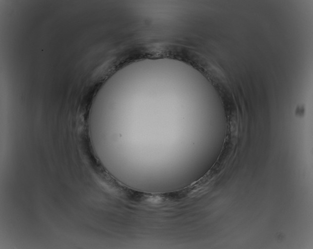 X0000089430611200707131846