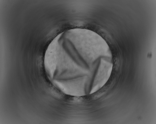 X0000089430612200707131846