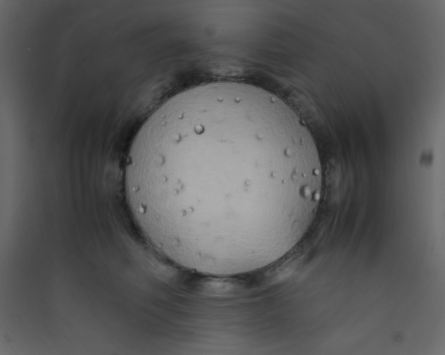X0000089430614200707131846