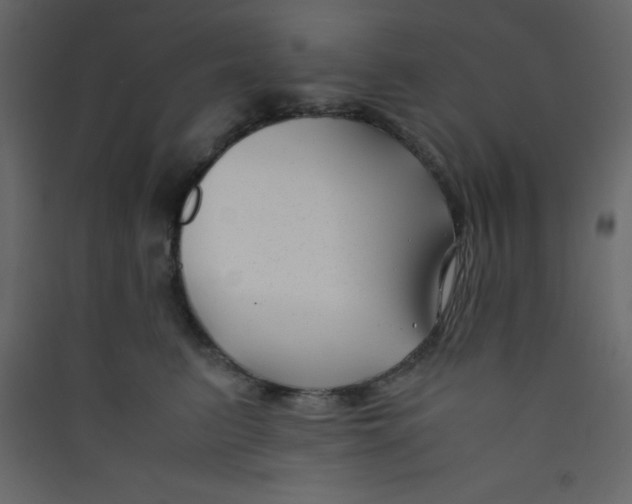 X0000089430615200707131846