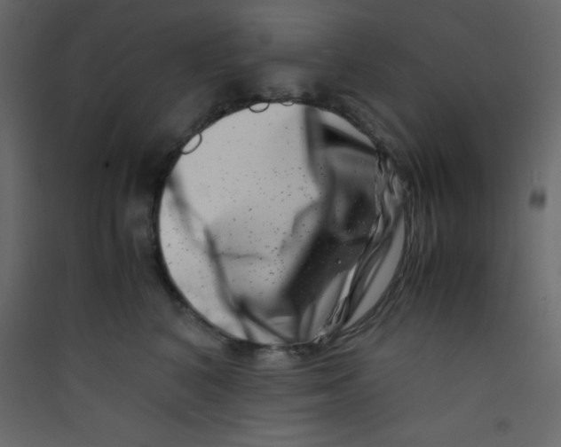 X0000089430616200707131846
