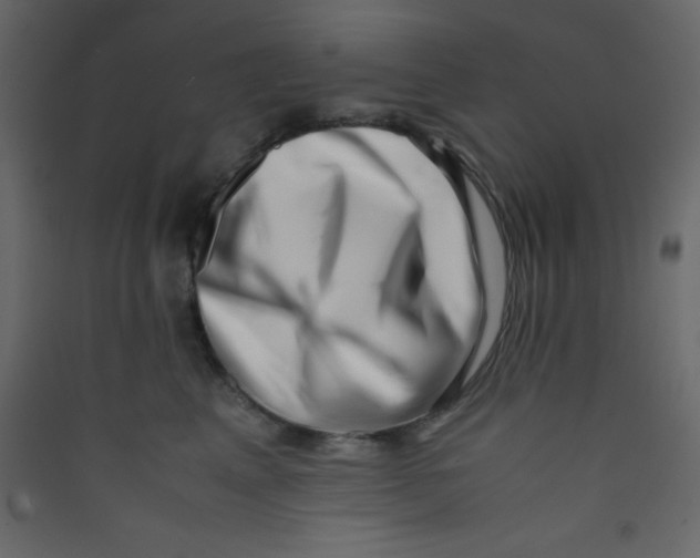 X0000089430617200707131846