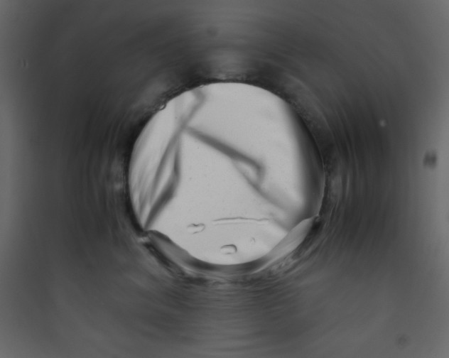 X0000089430620200707131846