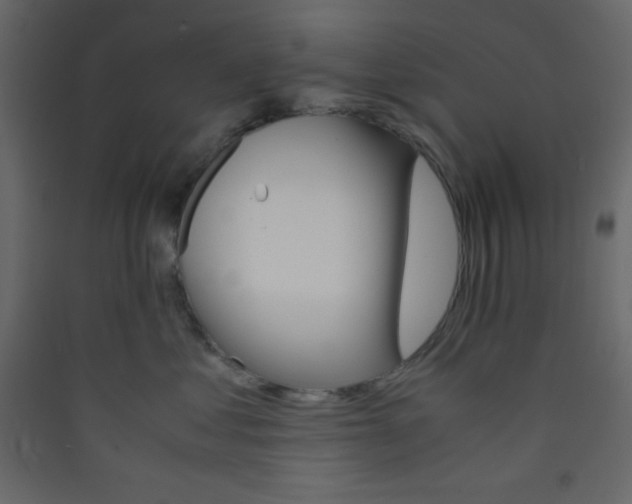 X0000089430621200707131846