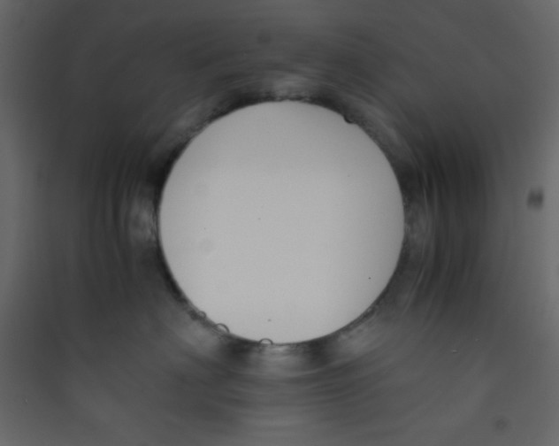 X0000089430622200707131845