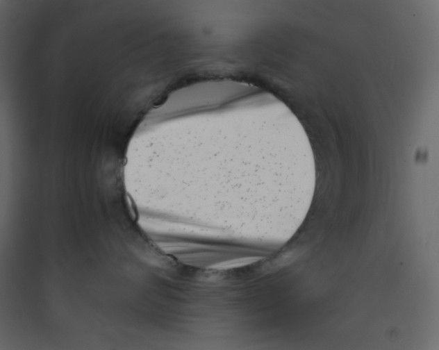 X0000089430624200707131845