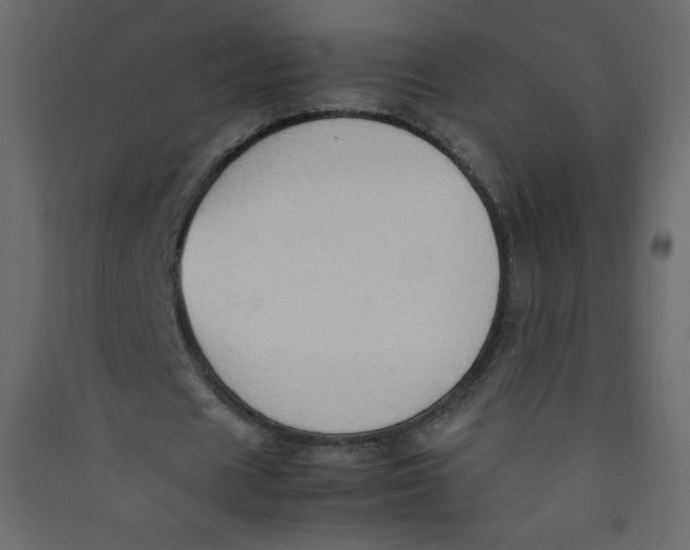 X0000089430625200707131845