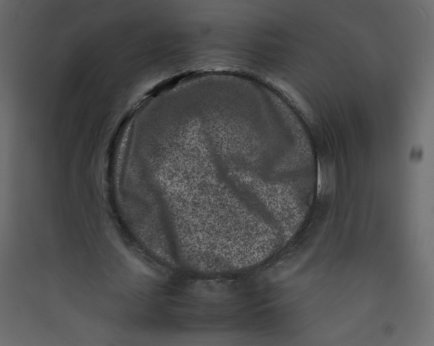 X0000089430627200707131845