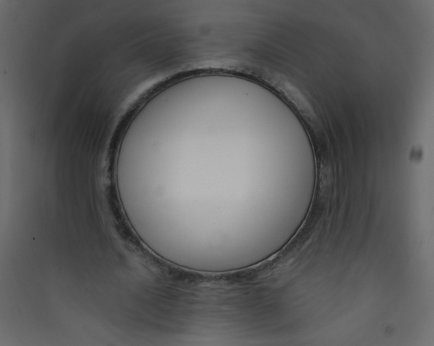 X0000089430628200707131845