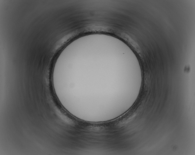 X0000089430629200707131845