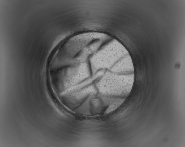 X0000089430630200707131845