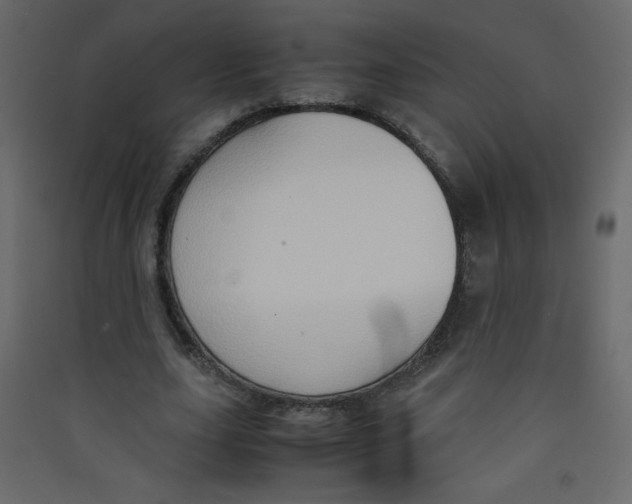 X0000089430631200707131845