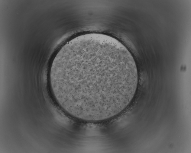 X0000089430632200707131845